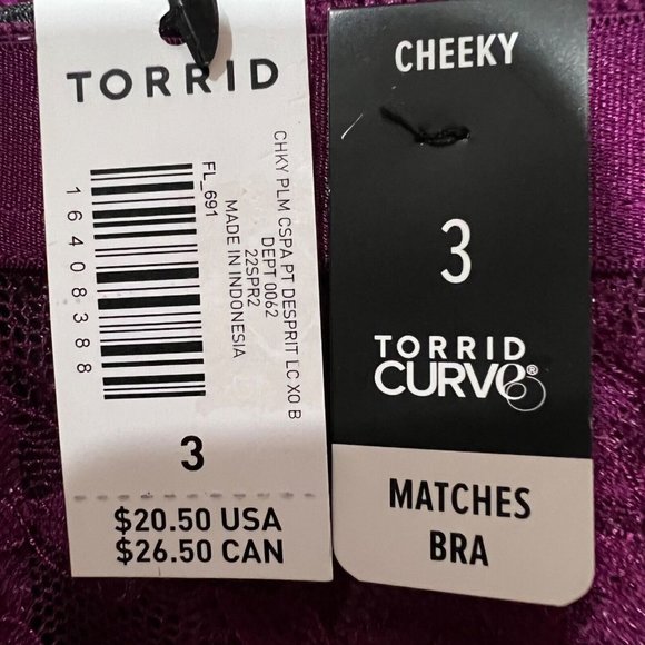 NWT TORRID Cheeky Pantie Underwear Sz 3X Purple Sheer Lace - Picture 4 of 4